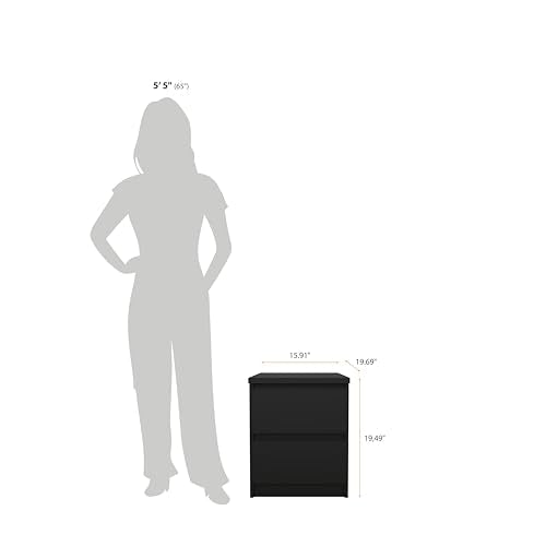 Tvilum 2 Drawer Bedroom Nightstand Nighstand, 19.69 in x 15.91 in x 19.49 in, Black