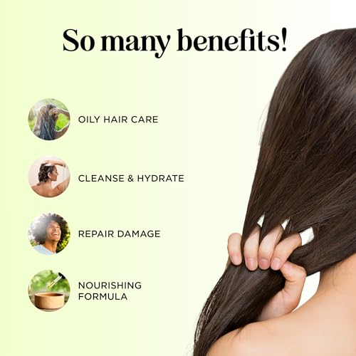 Tea Tree Conditioner for Dry Hair - Tea Tree Oil Conditioner for Oily Hair and Sulfate Free Conditioner for Dry Hair - Cleansing Conditioner and Tea Tree Dry Scalp Care with Tea Tree Oil for Hair