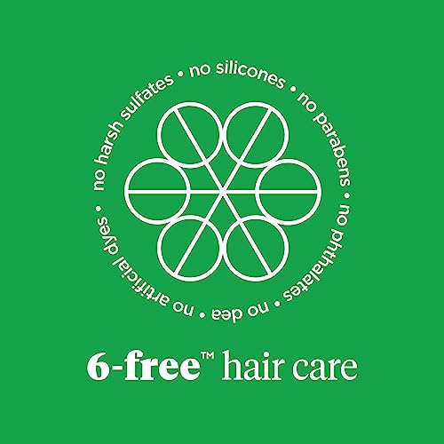 Briogeo Superfoods Mango + Cherry Hair Pack, Replenish Dull, Dry Hair and Balance Oil for Oily Hair, Controls Oil and Nourished All Hair Types and Textures, Vegan, Cruelty-Free, 2 x 12.5 fl oz