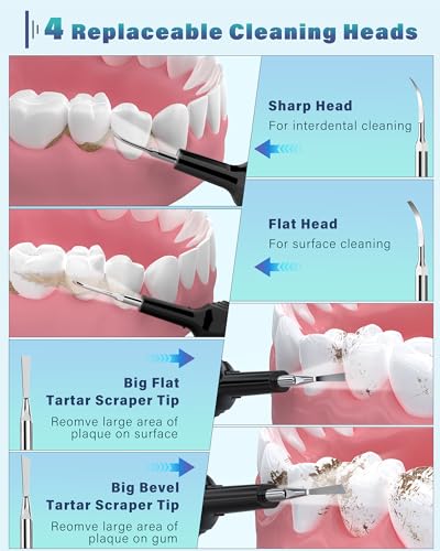 Plaque Remover for Teeth, Dental Cleaning Kit Tartar Remover for Teeth with LED Light & 5 Modes, Rechargeable Dental Cleaner, 4 Replaceable Heads