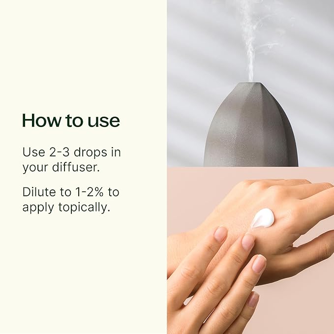 Plant Therapy Ravintsara Essential Oil 10 mL (1/3 oz) 100% Pure, Undiluted, Therapeutic Grade
